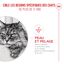 Royal Canin - Pâtée en Sauce Ageing 11+ pour Chats Senior - 12x85g Indicateur image numéro 5
