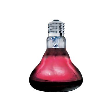 Arcadia - Lampe Infrarouge Basking Spot 100 Watt - Réptiles