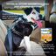 Kurgo - Harnais de Sécurité "Impact" Noir pour Chiens - L Indicateur image numéro 4