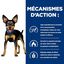 Hill's - Croquettes Prescription Diet Metabolic Mini pour Chiens - 1Kg Indicateur image numéro 4