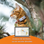 Weenect Cats 2 - Collier GPS Connecté pour Chat Indicateur image numéro 5