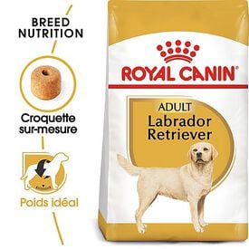 Royal Canin - Croquettes Labrador pour Chien Adulte