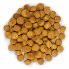 Hill's Science Plan - Croquettes Light Medium Adult Poulet pour Chien - 12Kg image number null