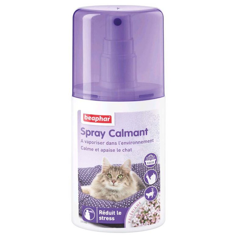 Beaphar - Spray Calmant Anti-stress pour Chat - 125ml image number null