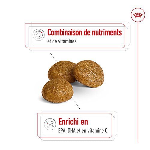 Royal Canin - Croquettes X SMALL ADULT 8+ pour chiens - 1,5KG Image num&eacute;ro 6