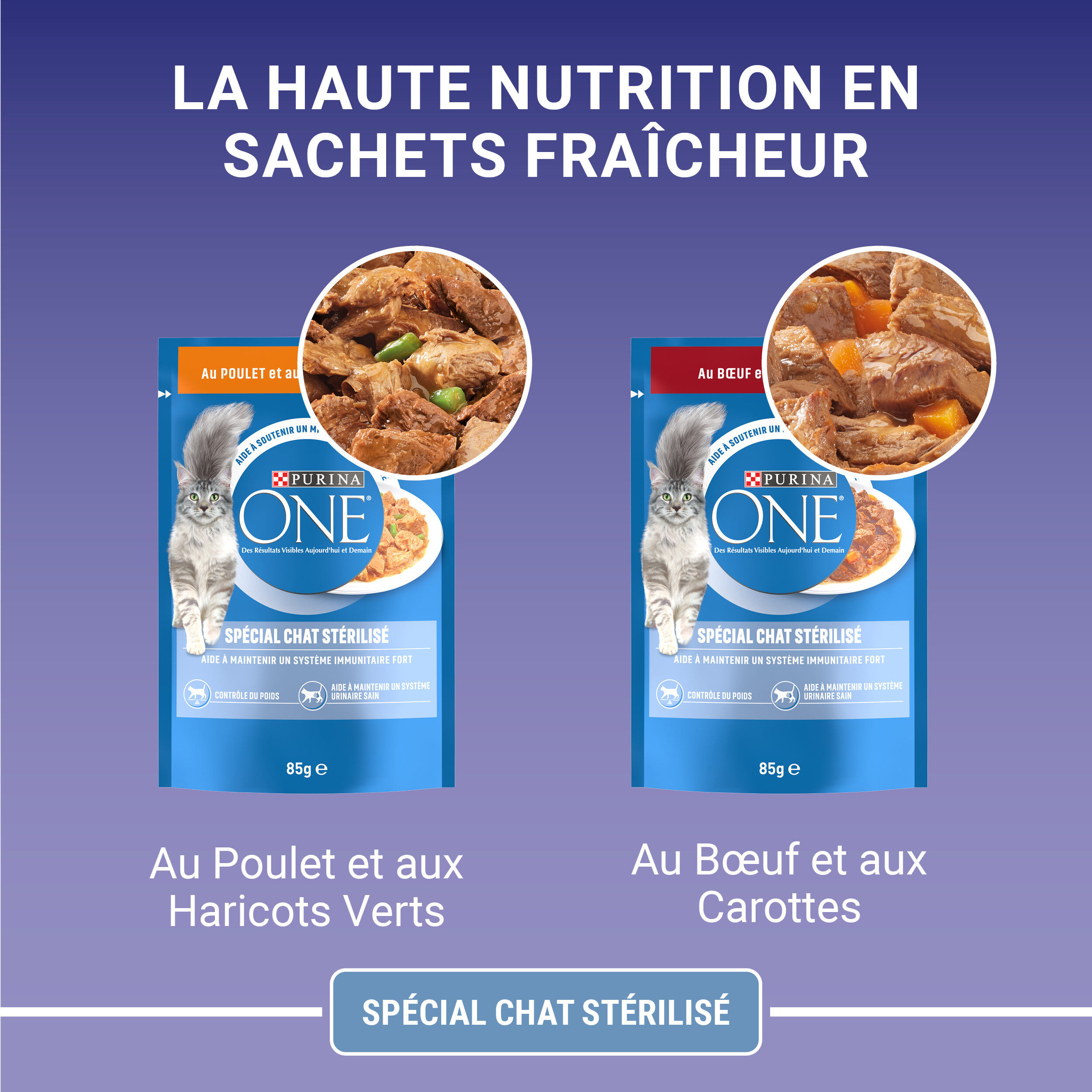 PURINA ONE - Sachets fra&icirc;cheurs Poulet et Boeuf pour Chats St&eacute;rilis&eacute;s - 4x85g Image num&eacute;ro 6