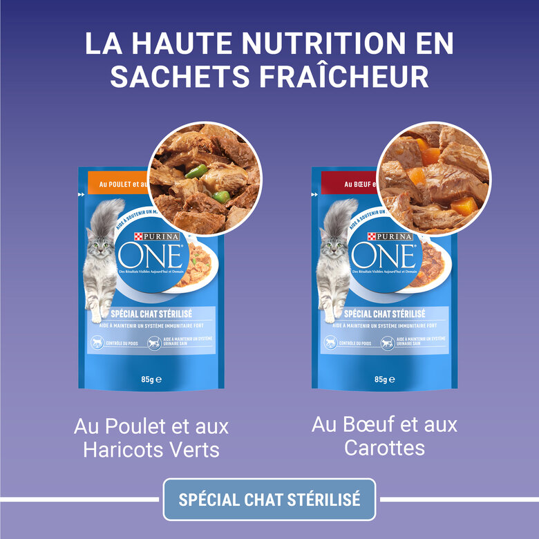 PURINA ONE - Sachets fraîcheurs Poulet et Boeuf pour Chats Stérilisés - 4x85g Image numéro 6 PURINA ONE - Sachets fraîcheurs Poulet et Boeuf pour Chats Stérilisés - 4x85g Image numéro 6