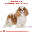 Royal Canin - Croquettes Cavalier King Charles pour Chien Adulte image number null