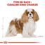 Royal Canin - Croquettes Cavalier King Charles pour Chien Adulte - 7,5Kg Indicateur image numéro 3