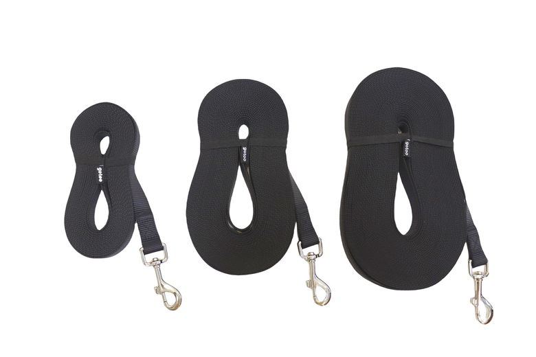 Gotoo - Laisse Essentials en Nylon pour Chien - 5M Image numéro 3 Gotoo - Laisse Essentials en Nylon pour Chien - 5M Image numéro 3