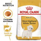 Royal Canin - Croquettes Westie pour Chien Adulte - 3Kg image number null