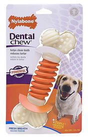 Nylabone - Jouet Os Dental Chew Pro-Action pour Chien
