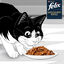 FELIX - Pochons Succulent Grill Selection de Poissons en Sauce pour chats adultes - 12X80g Indicateur image numéro 10