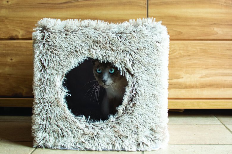 Bobby - Cube Fourrure pour Chat - Gris Image numéro 2 Bobby - Cube Fourrure pour Chat - Gris Image numéro 2