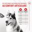 Royal Canin - Aliment complémentaire Adult Joint & Agieing Chews pour Chiens - 240g Indicateur image numéro 7