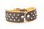 Yogipet - Collier Crystal Déco pour Chien Marron - T65 51/60cm Indicateur image numéro 1
