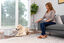 PetSafe - Système d'Education Positive Télécommandé Teach & Treat pour Chiens Indicateur image numéro 5