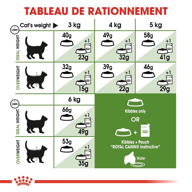 Royal Canin - Croquettes Outdoor 30 pour Chat - 400g Image numéro 6 Royal Canin - Croquettes Outdoor 30 pour Chat - 400g Image numéro 6