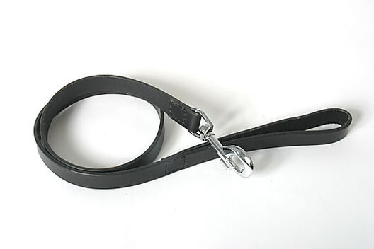 Martin Sellier - Laisse Basic en Cuir avec Bords Arrondis pour Chien - 100cm image number null