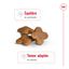 Royal Canin - Croquettes Mini 8+ pour Chien Adulte - 2Kg Indicateur image numéro 13