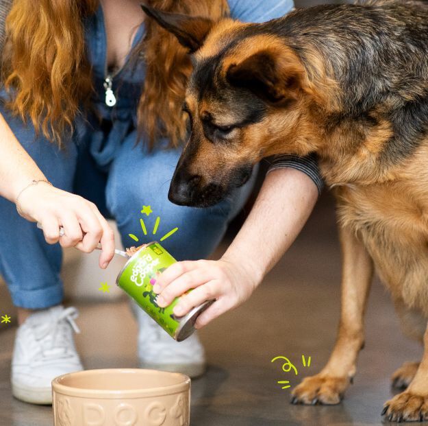 Edgard & Cooper - Bo&icirc;te &agrave; l'Agneau et B&oelig;uf pour Chien - 400g Image num&eacute;ro 3