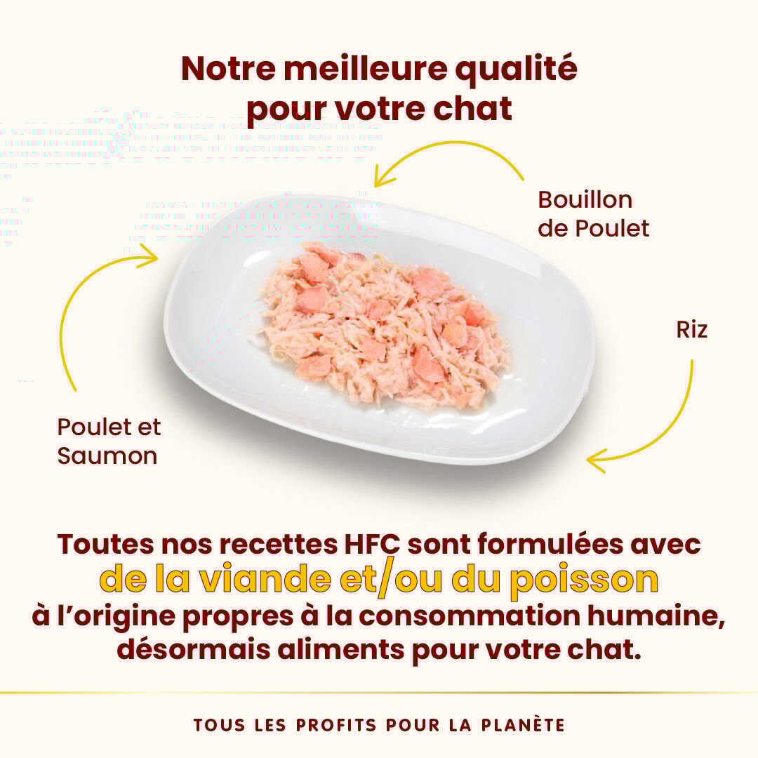 Almo Nature - P&acirc;t&eacute;e Hfc Natural Poulet Et Saumon - 55g Image num&eacute;ro 3