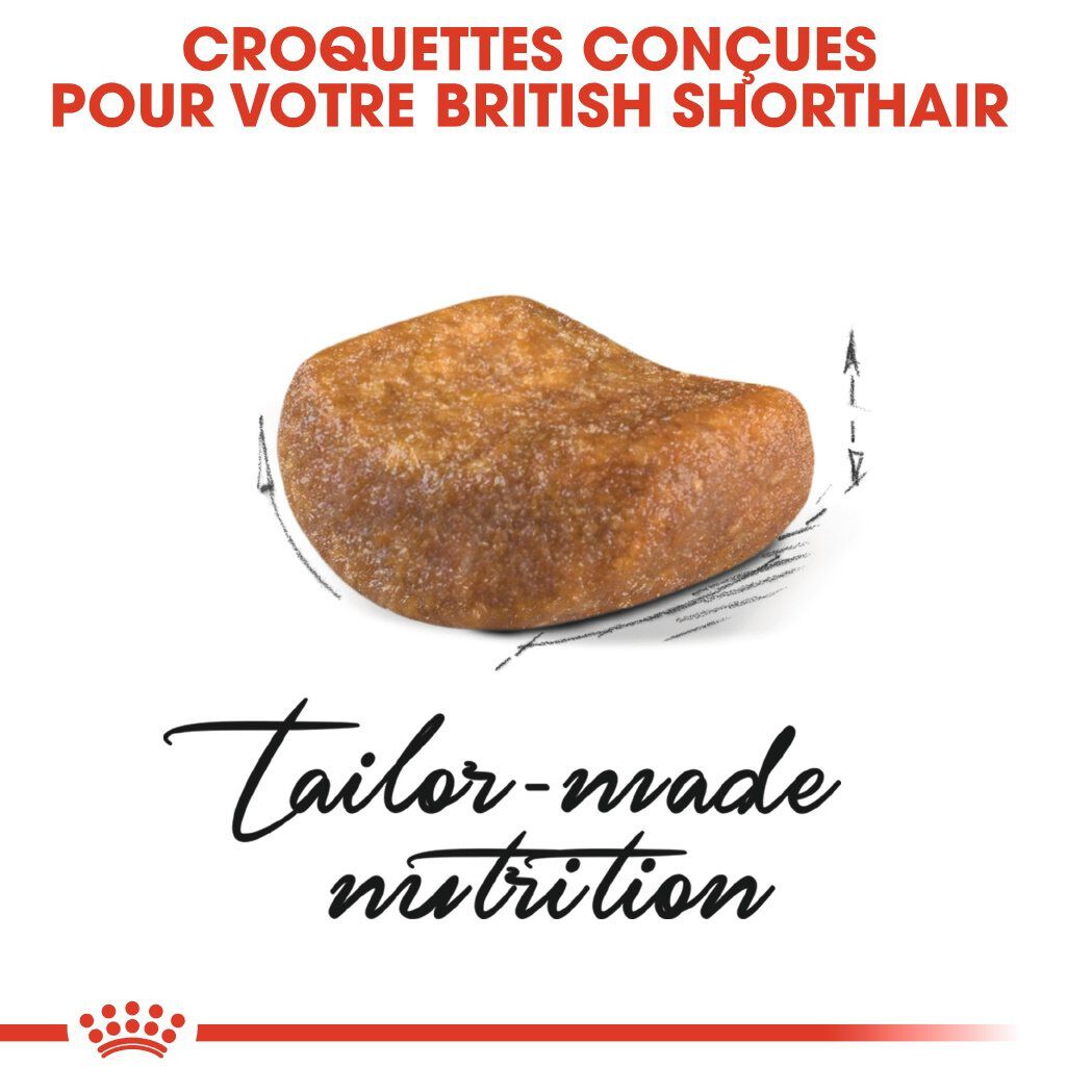 Royal Canin - Croquettes British Shorthair pour Chat Adulte - 2Kg Image num&eacute;ro 4