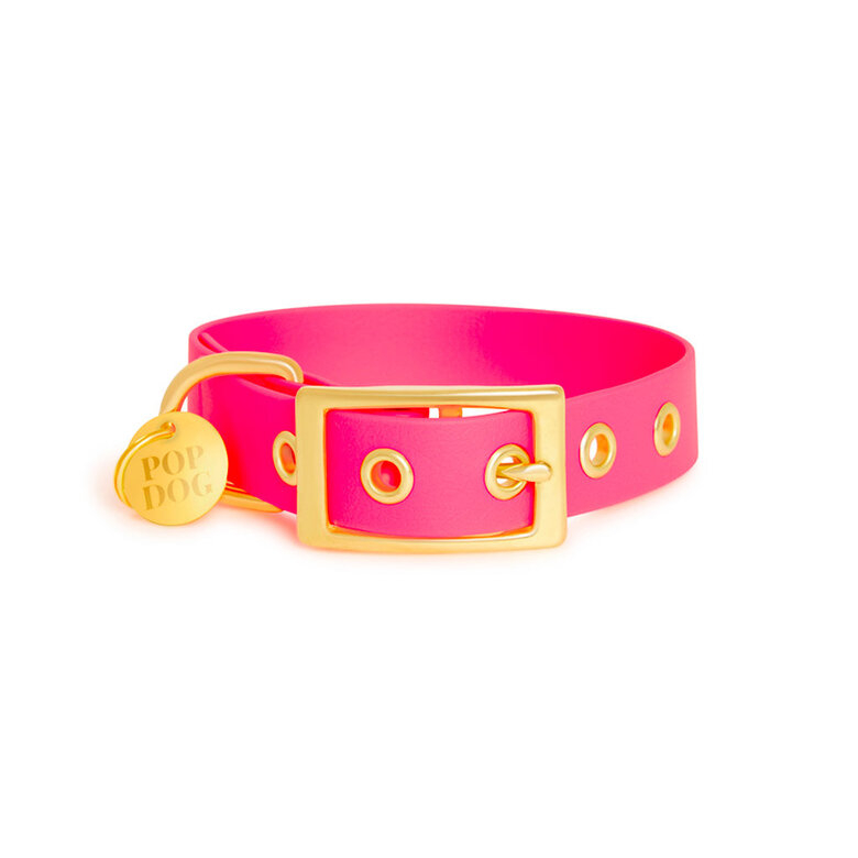 Pop Dog - Collier A  1/4 Illet Glouton Rose pour Chien - XS Image numéro 2 Pop Dog - Collier A  1/4 Illet Glouton Rose pour Chien - XS Image numéro 2