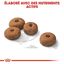 Royal Canin - Croquettes Maxi Sterilised pour Chien Adulte Stérilisé - 3Kg Indicateur image numéro 5