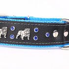 Yogipet - Collier Bulldog Cuir Crystal pour Chien - Bleu image number null
