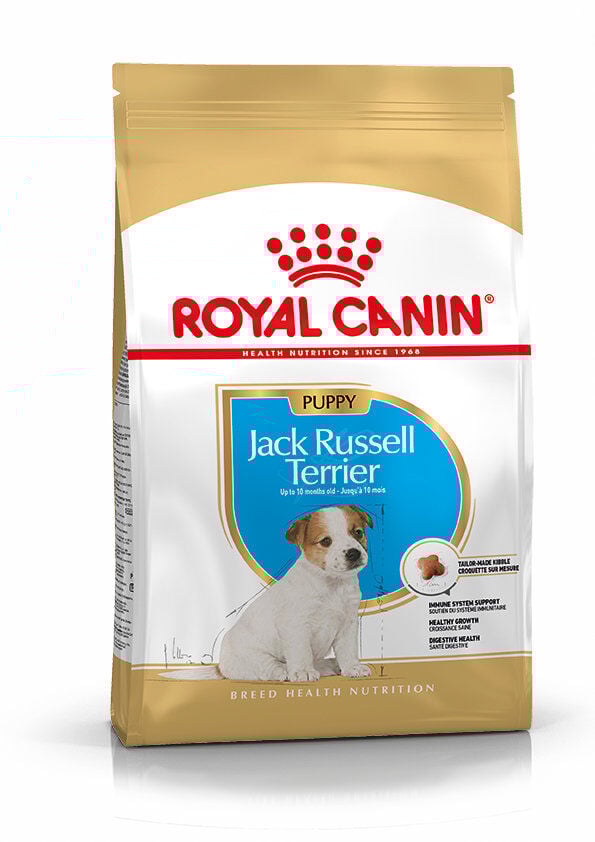 Royal Canin - Croquettes Jack Russell Junior - 3Kg Image num&eacute;ro 2