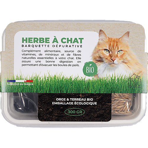 Herbe &agrave; chat Barquette 300gr BIO Image num&eacute;ro 1