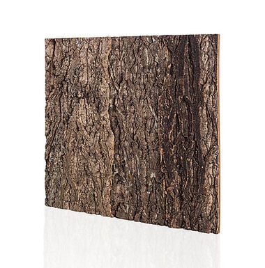 Reptizoo - Arrière Plan Liège Naturel - 60x60cm