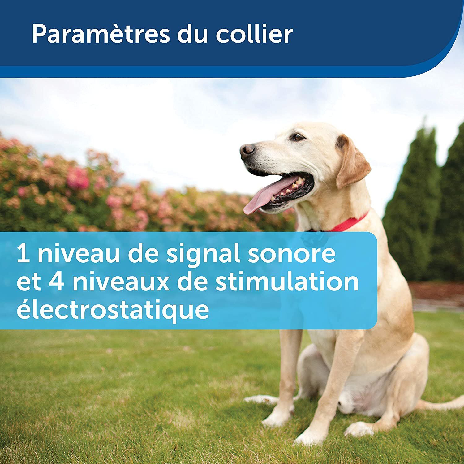 Petsafe - Kit Cl&ocirc;ture Wireless pour Chiens Image num&eacute;ro 5