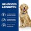 Hill's - Croquettes Prescription Diet J/D Mobility pour Chiens - 12Kg Indicateur image numéro 4