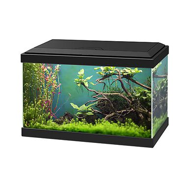 Aquarium pour poissons duo waterf globe noire TETRA : 1 pièce à