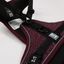 Duvoplus - Harnais Fashion Ultimate Fit No-Pull XS Prune pour Chiens - 20-40cm/37-45cm Indicateur image numéro 4