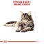 Royal Canin - Croquettes Maine Coon pour Chat Adulte - 10Kg Indicateur image numéro 2
