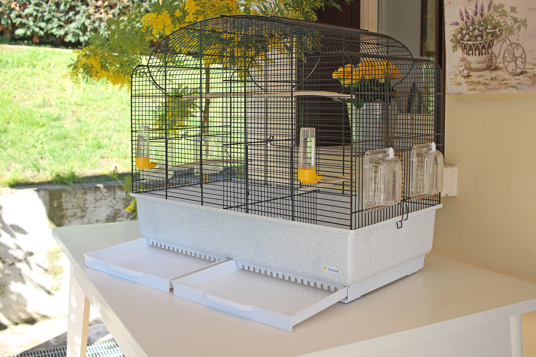 Ferplast - Cage Canto pour Oiseaux Image num&eacute;ro 7