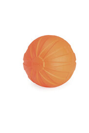 Camon - Jouet Balle Eva Orange pour Chiens