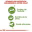 Royal Canin - Croquettes Outdoor Active Life pour Chat - 10Kg Indicateur image numéro 4
