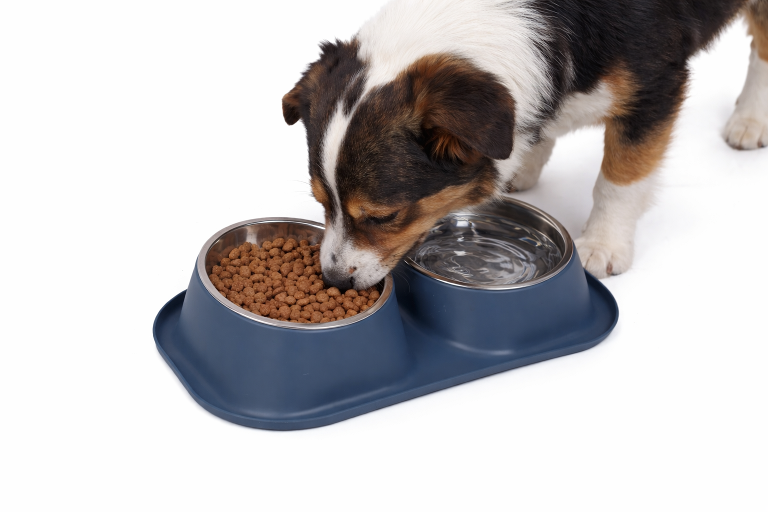 Leeby - Gamelle Double avec Bols Inox pour Chiens - 2x350ml Image num&eacute;ro 1