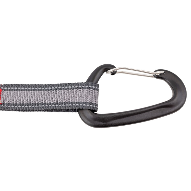 Kurgo - Kit Sangle d'Attache "Camping" pour Chiens - 9m Image numéro 6 Kurgo - Kit Sangle d'Attache "Camping" pour Chiens - 9m Image numéro 6