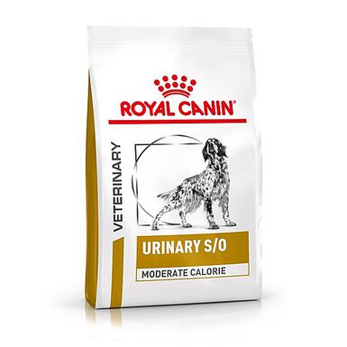 Royal Canin - Croquettes Veterinary Diet Urinary S/O Moderate Calorie pour Chien