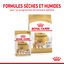Royal Canin - Sachets Spitz Adult en Mousse pour Chien - 12x85g Indicateur image numéro 7