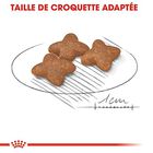 Royal Canin - Croquettes Mini Adult pour Chien - 2Kg image number null