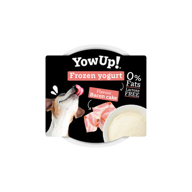 Yowup -  Yaourt Glacé au Gâteau Bacon pour Chiens - 110g