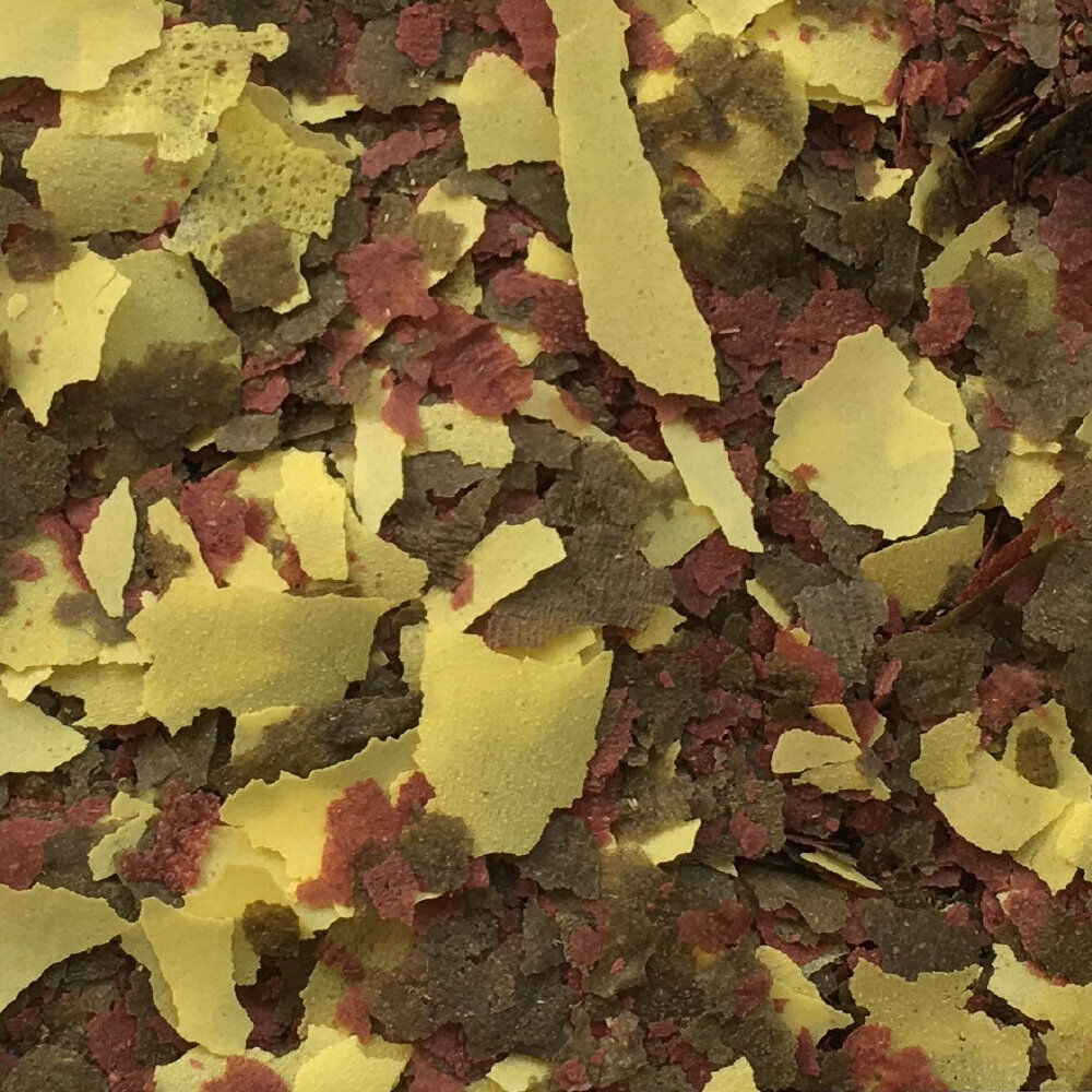 Amtra - Aliment Pro Oranda Flake - 100ml Image num&eacute;ro 2