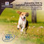Hill's - Croquettes Ideal Balance No Grain Medium au Poulet pour Chiens - 12Kg Indicateur image numéro 7
