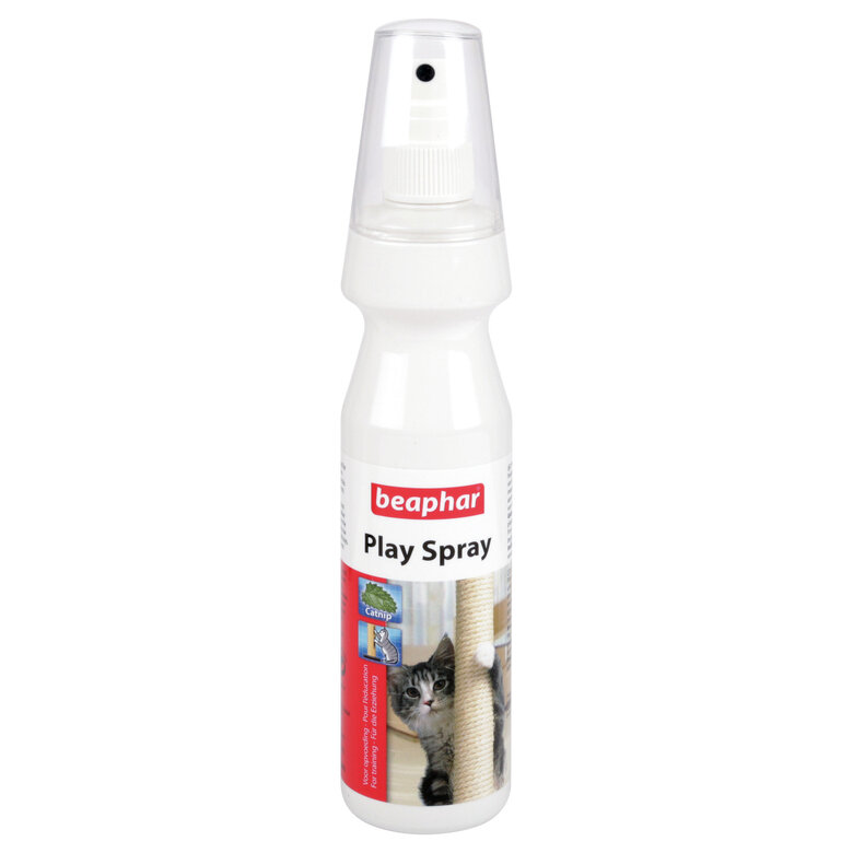 Beaphar - PLAY SPRAY, pulvérisateur attractif à l'herbe à chat pour chat  - 150 ml Image numéro 1 Beaphar - PLAY SPRAY, pulvérisateur attractif à l'herbe à chat pour chat  - 150 ml Image numéro 1